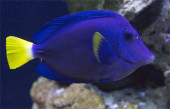 Adventure park sea aquarium Zella-Mehlis
